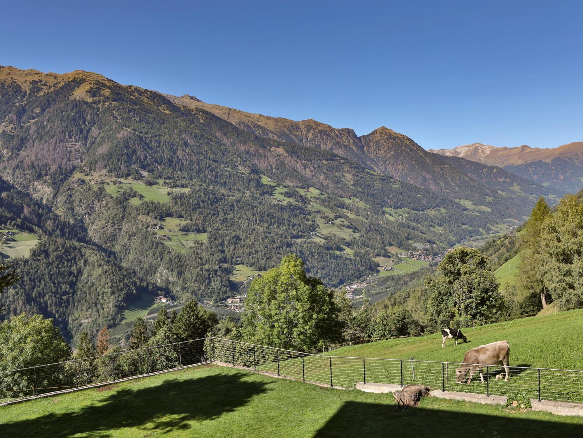 Natur Residence Kaiser Hans 思科纳 外观 照片